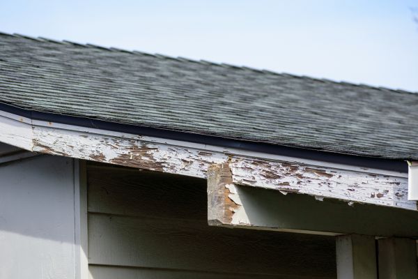 Honolulu Wood Rot Repair