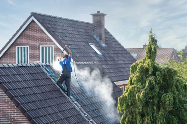 Honolulu Roof Cleaning