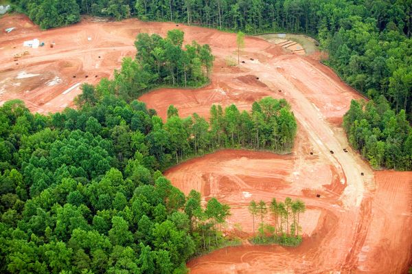 Honolulu Land Clearing